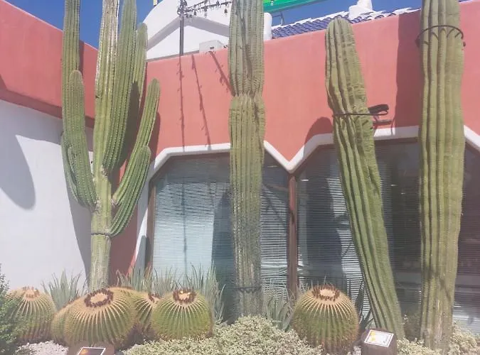 Margarita Con Piscina En Playa Honda, Playa Americas * 아로나